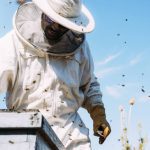 Bee Control in Tallapoosa, Georgia