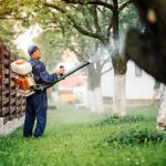 Mosquito Control in Tallapoosa, Georgia