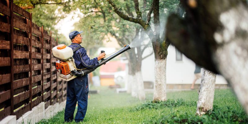 Mosquito Control in Tallapoosa, Georgia
