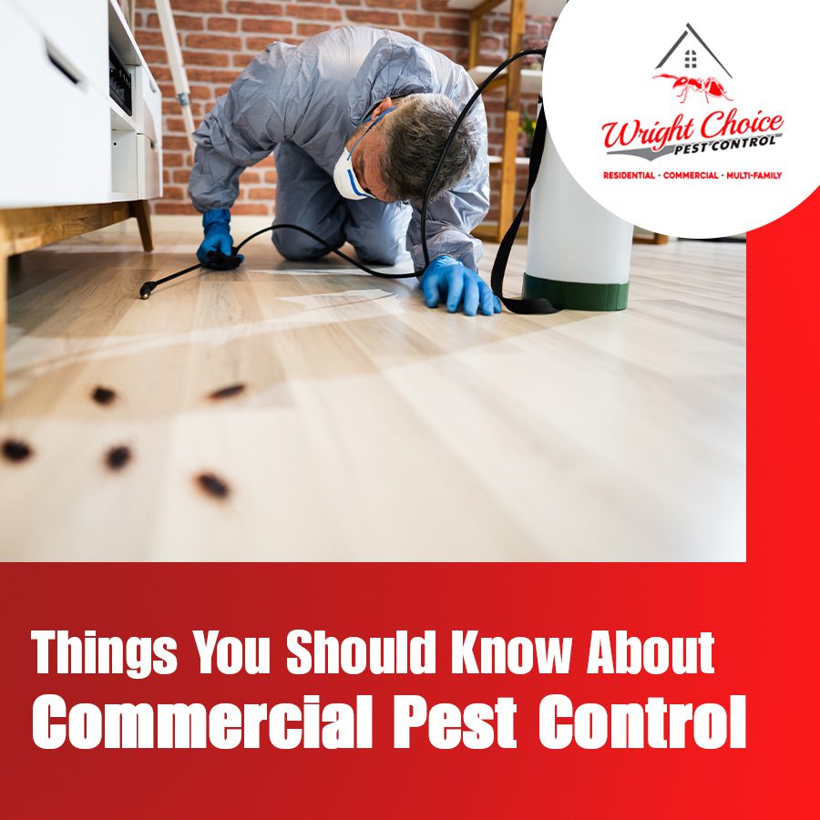 Things You Should Know About Commercial Pest Control