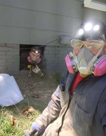 Exterminator in Tallapoosa, Georgia