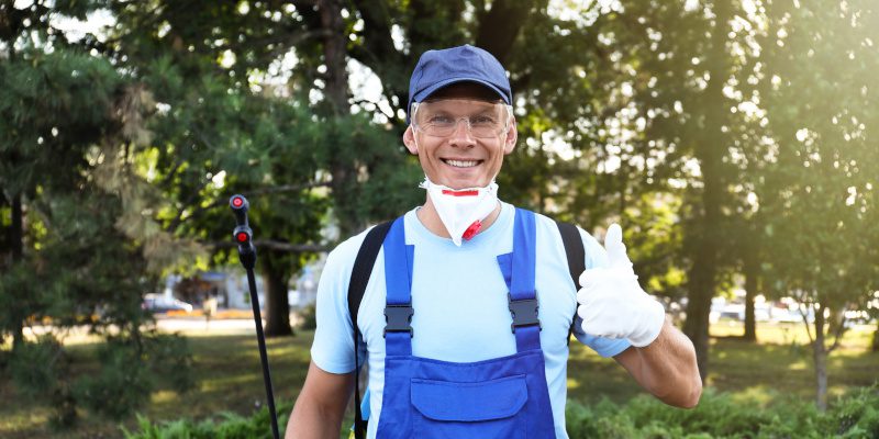 What to do Before the Pest Control Service Arrives