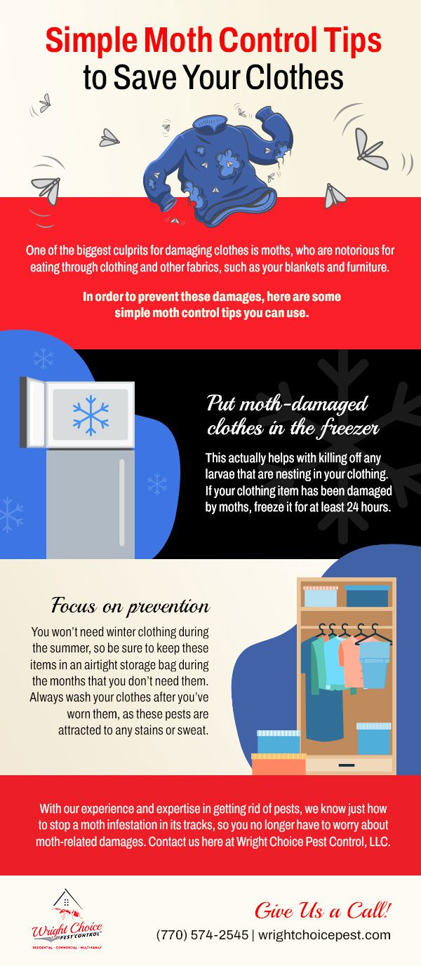 Simple Moth Control Tips to Save Your Clothes