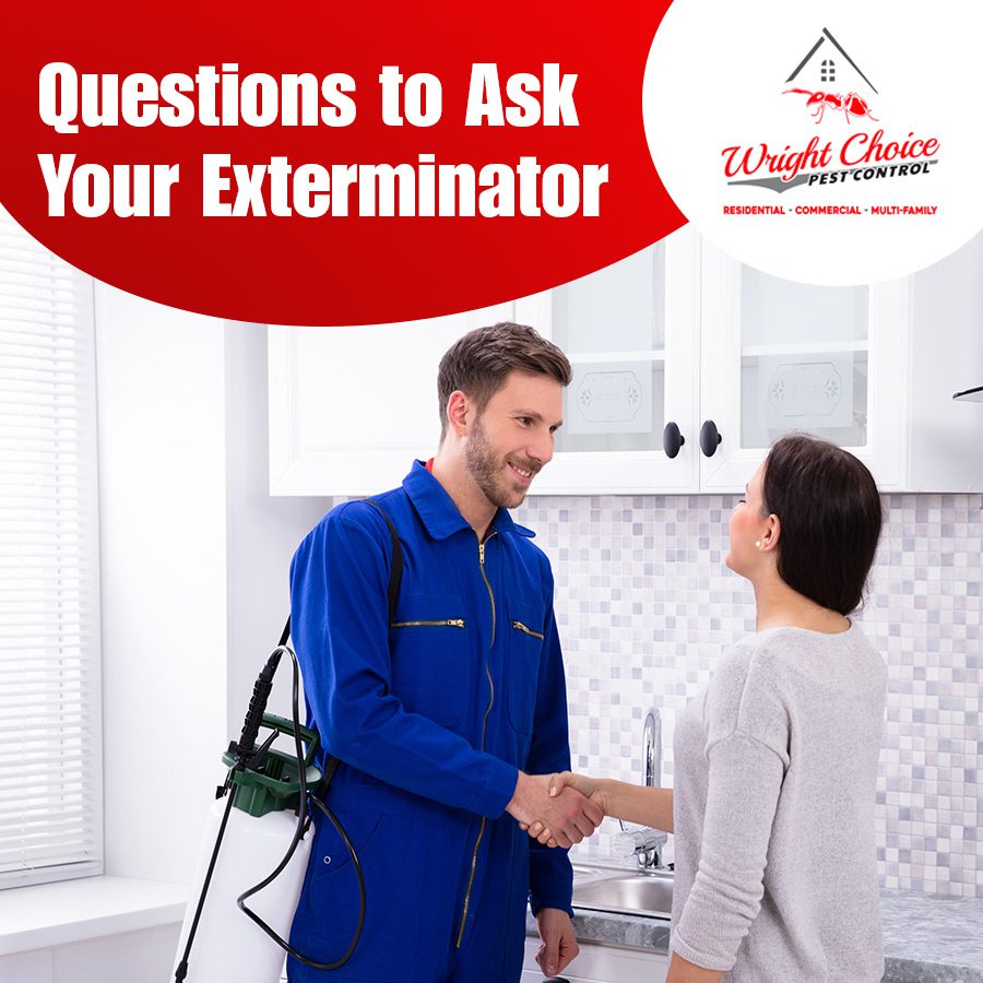 Important Questions to Ask Your Exterminator