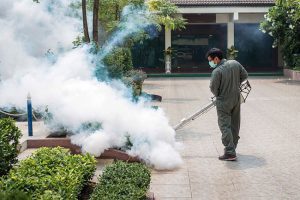 How Long Will Mosquito Control Last?