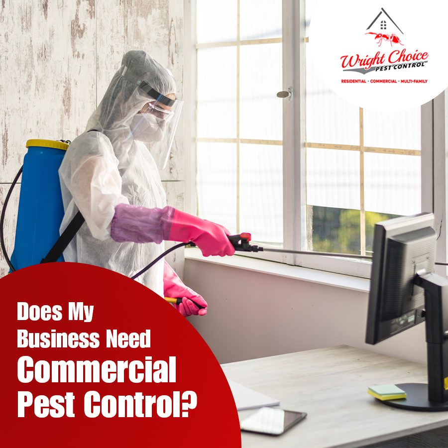 Does My Business Need Commercial Pest Control?