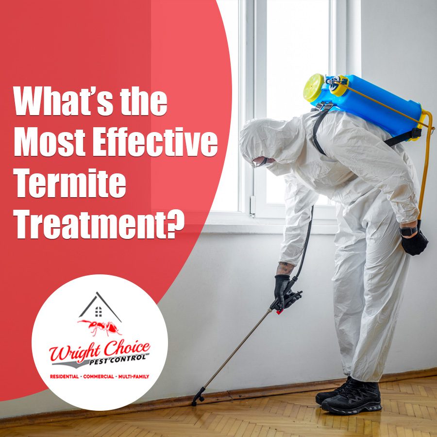 What’s the Most Effective Termite Treatment?