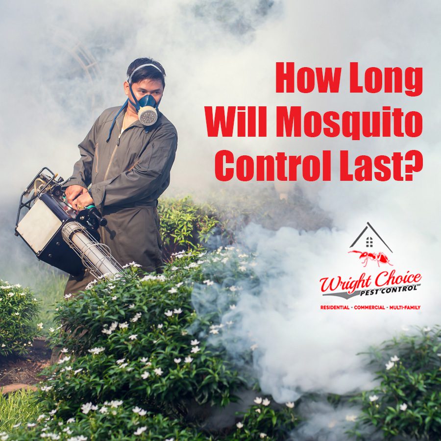 How Long Will Mosquito Control Last?