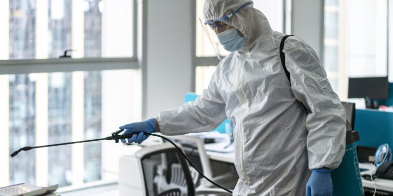 Why Professional Pest Control is Important for Your Business