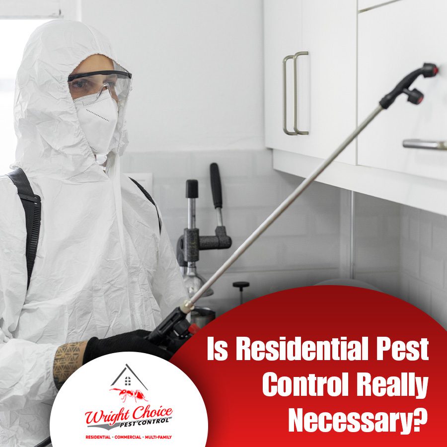 Is Residential Pest Control Really Necessary?