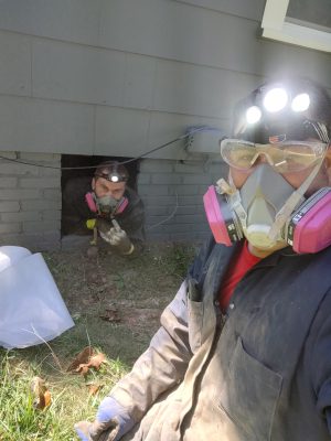 Moth Control in Tallapoosa, Georgia