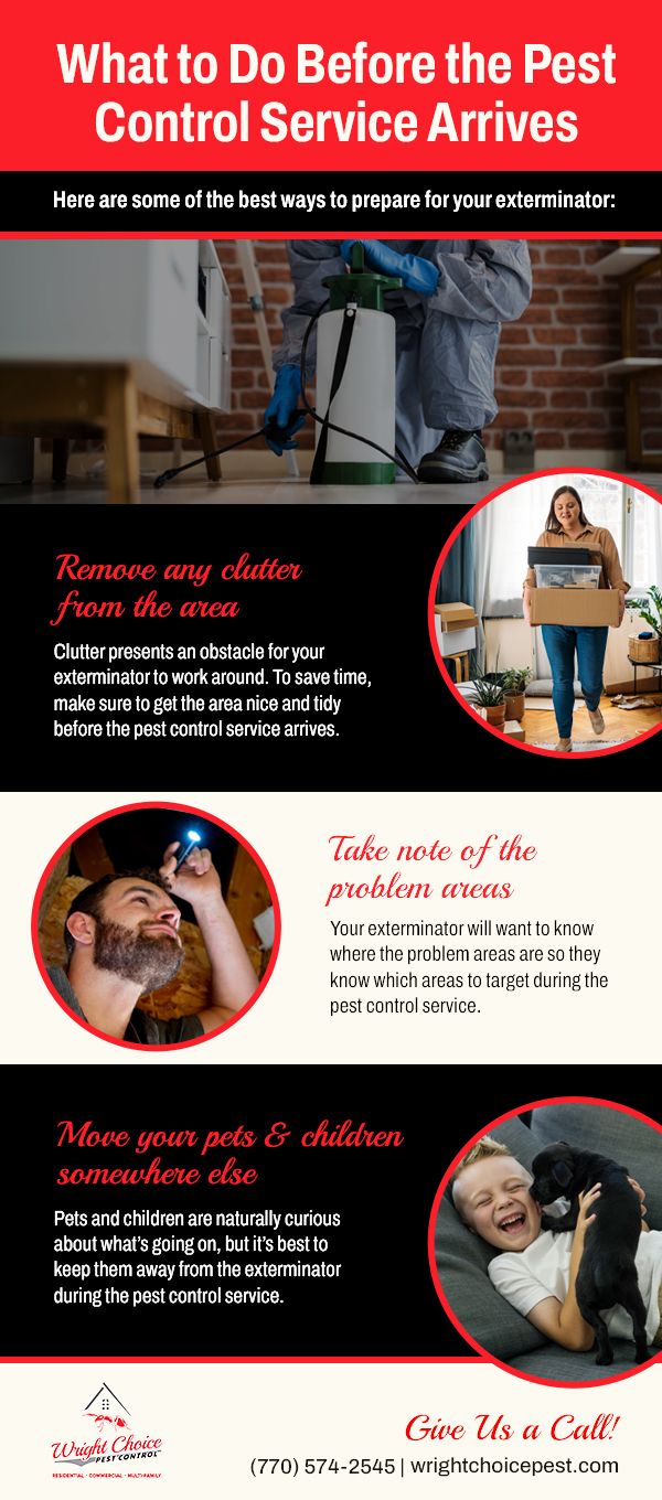 Helpful Tips to Prepare for Your Upcoming Pest Control Appointment