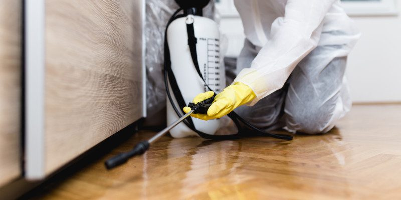 Insect Pest Control in Tallapoosa, Georgia