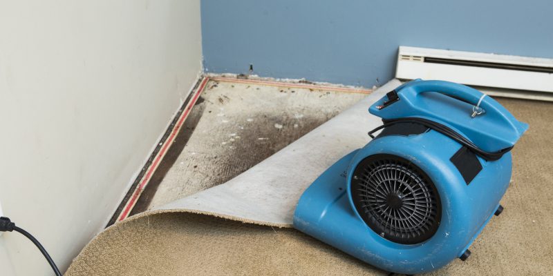 Water Damage Repair in Tallapoosa, Georgia