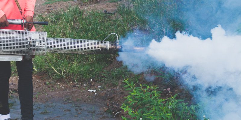 Mosquito Removal in Tallapoosa, Georgia