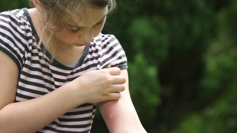 3 Mosquito Control Tips to Help Protect Yourself From Getting Bitten