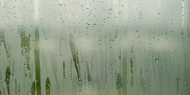 3 Signs You Need Better Attic Moisture Control