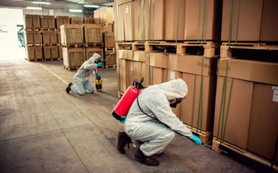 Reasons to Trust Our Team for Commercial Pest Control Solutions