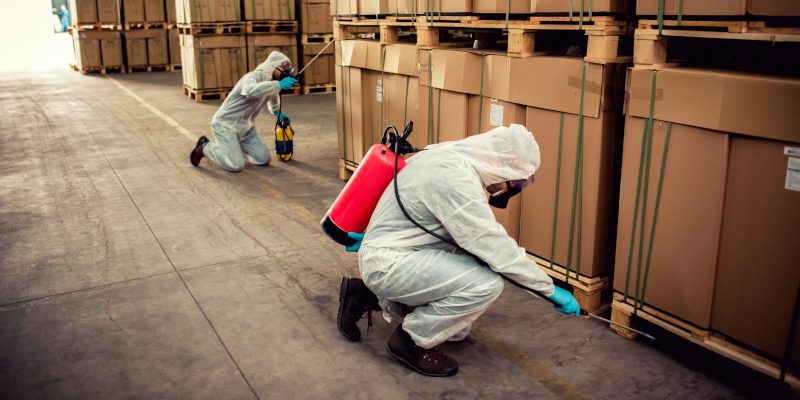 Reasons to Trust Our Team for Commercial Pest Control Solutions