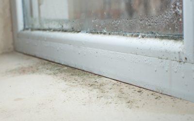 3 Signs You Need to Call a Mold Removal Service