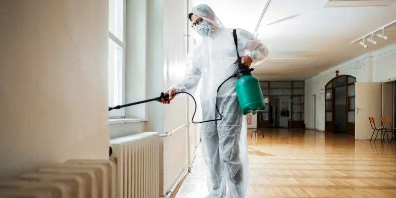 Three Signs You Need Pest Control Services