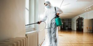 Three Signs You Need Pest Control Services
