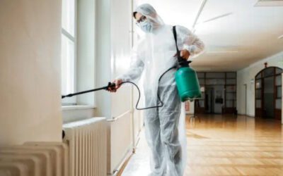 Three Signs You Need Pest Control Services