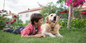 When to Schedule Flea Prevention Services
