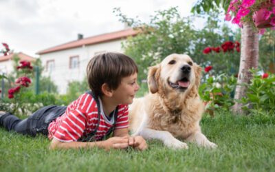 When to Schedule Flea Prevention Services