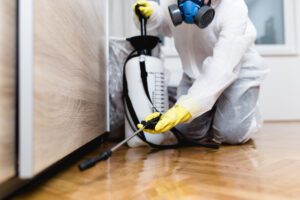 Benefits of Professional Pest Control Service
