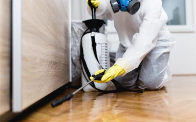 Benefits of Professional Pest Control Service