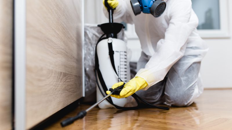Benefits of Professional Pest Control Service